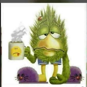 Meet your Posher, Ahmad